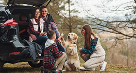 family-car-with-dog